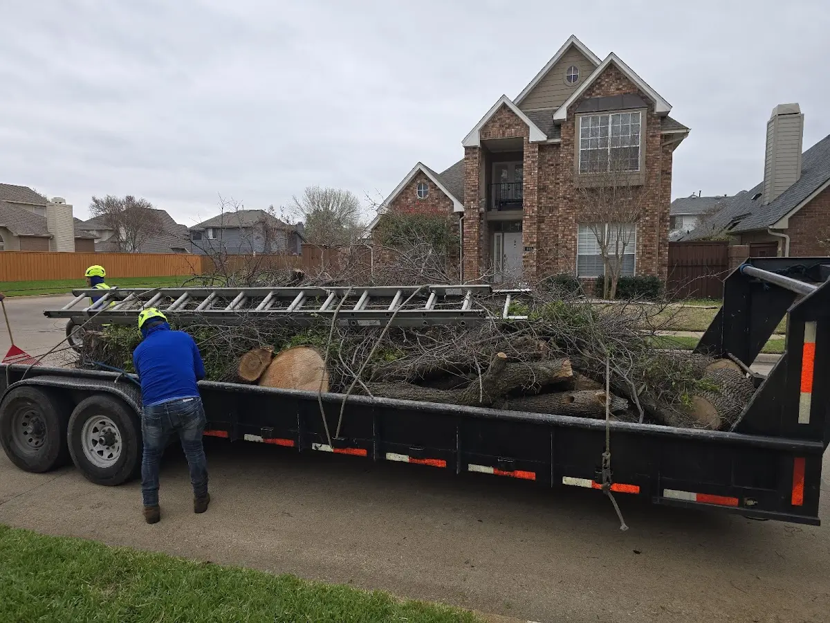 Expert Tree Removal with proper safety equipment in Merchantville